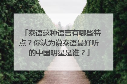 泰语这种语言有哪些特点?你认为说泰语最好听的中国明星是谁?