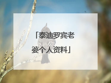 泰迪罗宾老婆个人资料