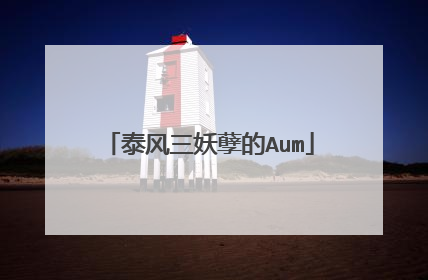泰风三妖孽的Aum