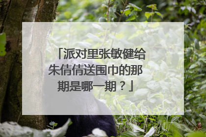派对里张敏健给朱倩倩送围巾的那期是哪一期?