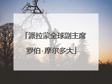 派拉蒙全球副主席罗伯·摩尔多大
