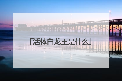 活体白龙王是什么