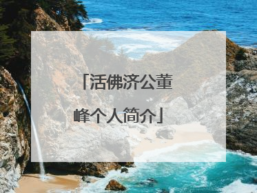 活佛济公董峰个人简介