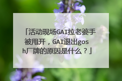 活动现场GAI拉老婆手被甩开,GAI退出gosh厂牌的原因是什么?