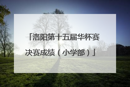 洛阳第十五届华杯赛决赛成绩（小学部）