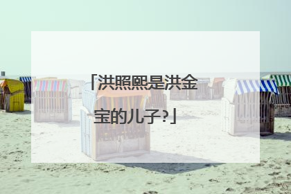 洪照熙是洪金宝的儿子?