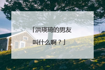 洪瑛琦的男友叫什么啊？
