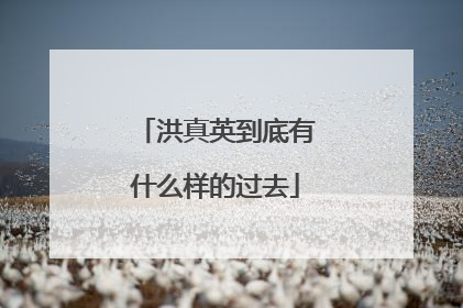 洪真英到底有什么样的过去