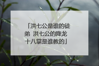 洪七公是谁的徒弟 洪七公的降龙十八掌是谁教的