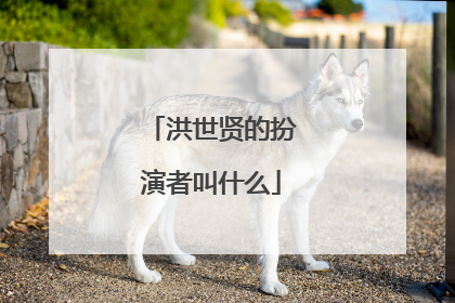 洪世贤的扮演者叫什么