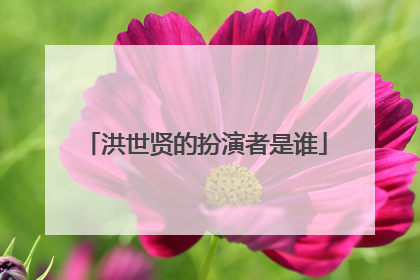 洪世贤的扮演者是谁