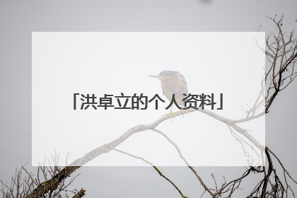 洪卓立的个人资料