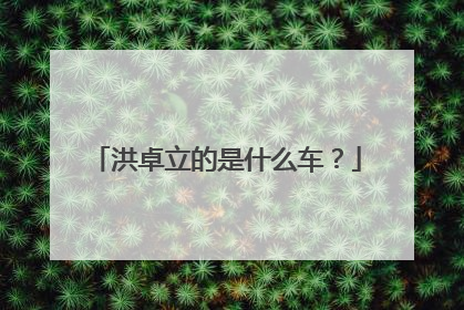 洪卓立的是什么车？