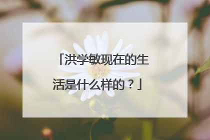 洪学敏现在的生活是什么样的？