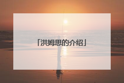 洪姆思的介绍