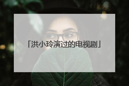 洪小玲演过的电视剧