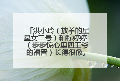 洪小玲（放羊的星星女二号）和穆婷婷（步步惊心里四王爷的福晋）长得很像,有木有?