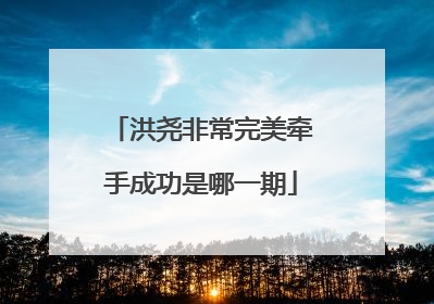 洪尧非常完美牵手成功是哪一期