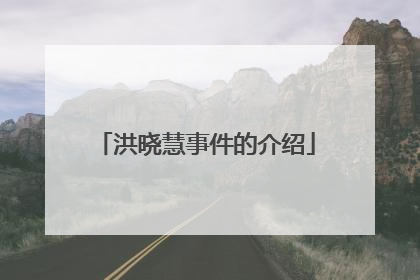 洪晓慧事件的介绍
