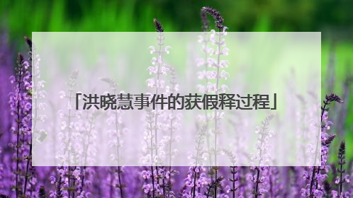 洪晓慧事件的获假释过程