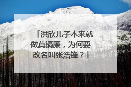 洪欣儿子本来就做莫镐廉,为何要改名叫张浩锋?