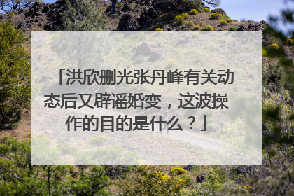 洪欣删光张丹峰有关动态后又辟谣婚变,这波操作的目的是什么?