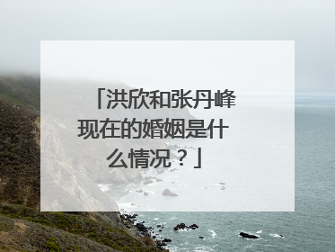 洪欣和张丹峰现在的婚姻是什么情况？