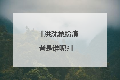 洪洗象扮演者是谁呢?