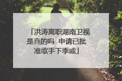 洪涛离职湖南卫视是真的吗 申请已批准歌手下季或