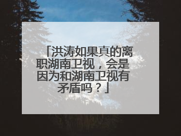 洪涛如果真的离职湖南卫视,会是因为和湖南卫视有矛盾吗?