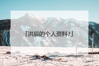 洪辰的个人资料?