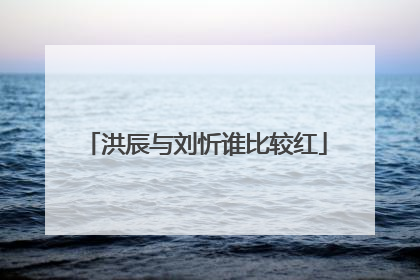 洪辰与刘忻谁比较红