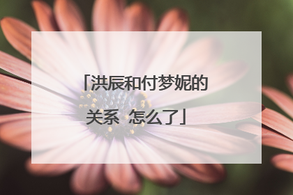 洪辰和付梦妮的关系 怎么了