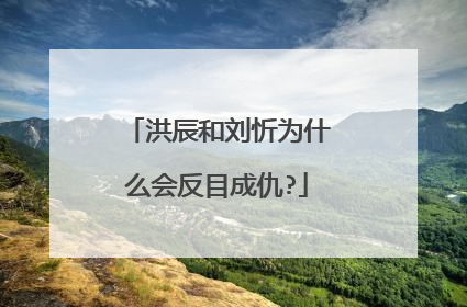 洪辰和刘忻为什么会反目成仇?
