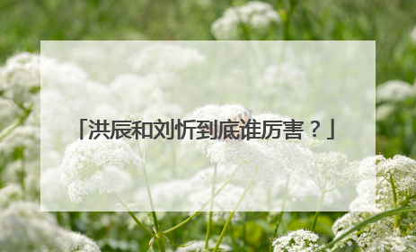 洪辰和刘忻到底谁厉害？