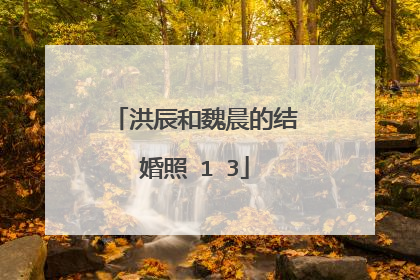 洪辰和魏晨的结婚照�1�3