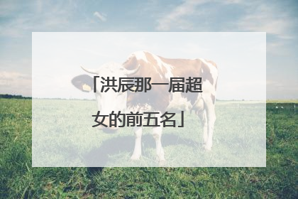 洪辰那一届超女的前五名