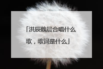 洪辰魏晨合唱什么歌,歌词是什么