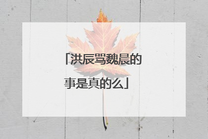 洪辰骂魏晨的事是真的么