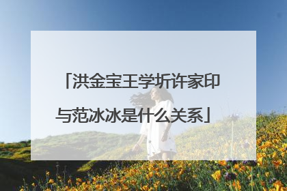 洪金宝王学圻许家印与范冰冰是什么关系