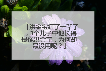 洪金宝红了一辈子，3个儿子中他长得最像洪金宝，为何却最没用呢？