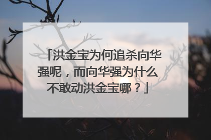 洪金宝为何追杀向华强呢，而向华强为什么不敢动洪金宝哪？