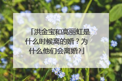 洪金宝和高丽虹是什么时候离的婚？为什么他们会离婚?