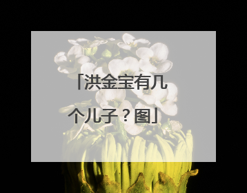 洪金宝有几个儿子?图