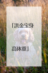 洪金宝身高体重