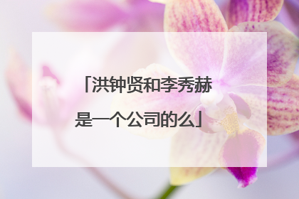 洪钟贤和李秀赫是一个公司的么