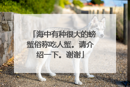 海中有种很大的螃蟹俗称吃人蟹。请介绍一下。谢谢