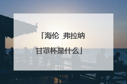 海伦 弗拉纳甘罩杯是什么