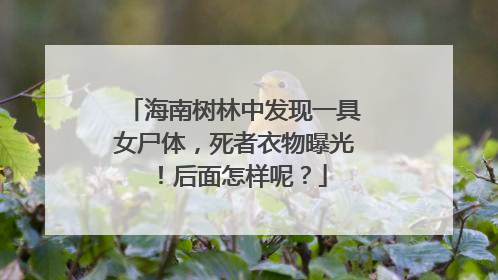 海南树林中发现一具女尸体，死者衣物曝光！后面怎样呢？