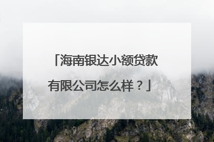 海南银达小额贷款有限公司怎么样?